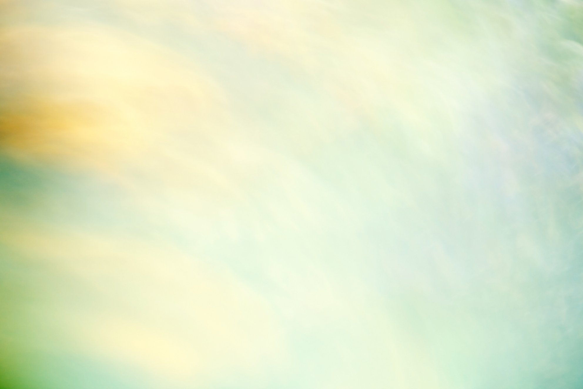 Abstract blurred background nature